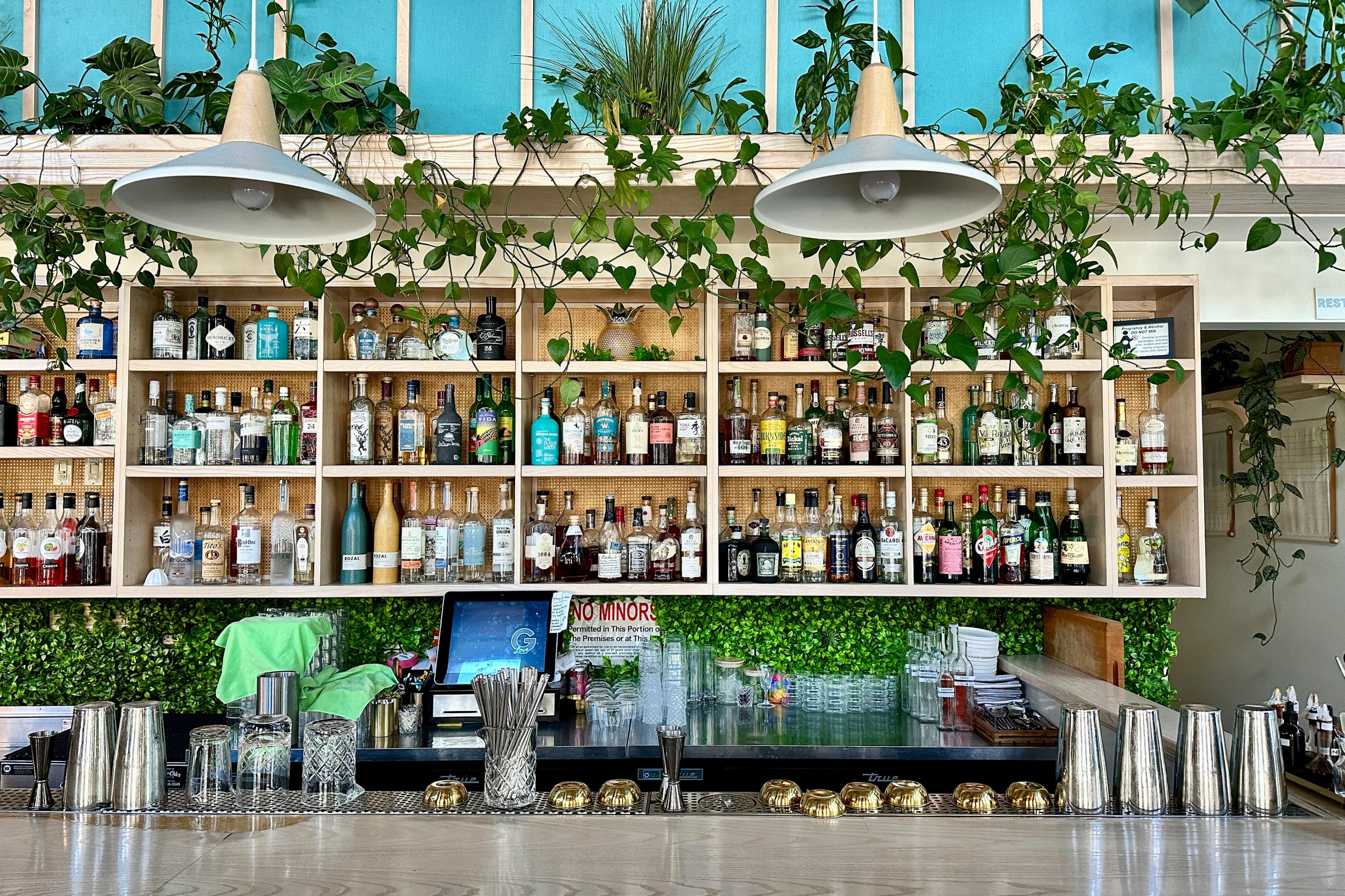 bar with wooden shelves full of bottles
