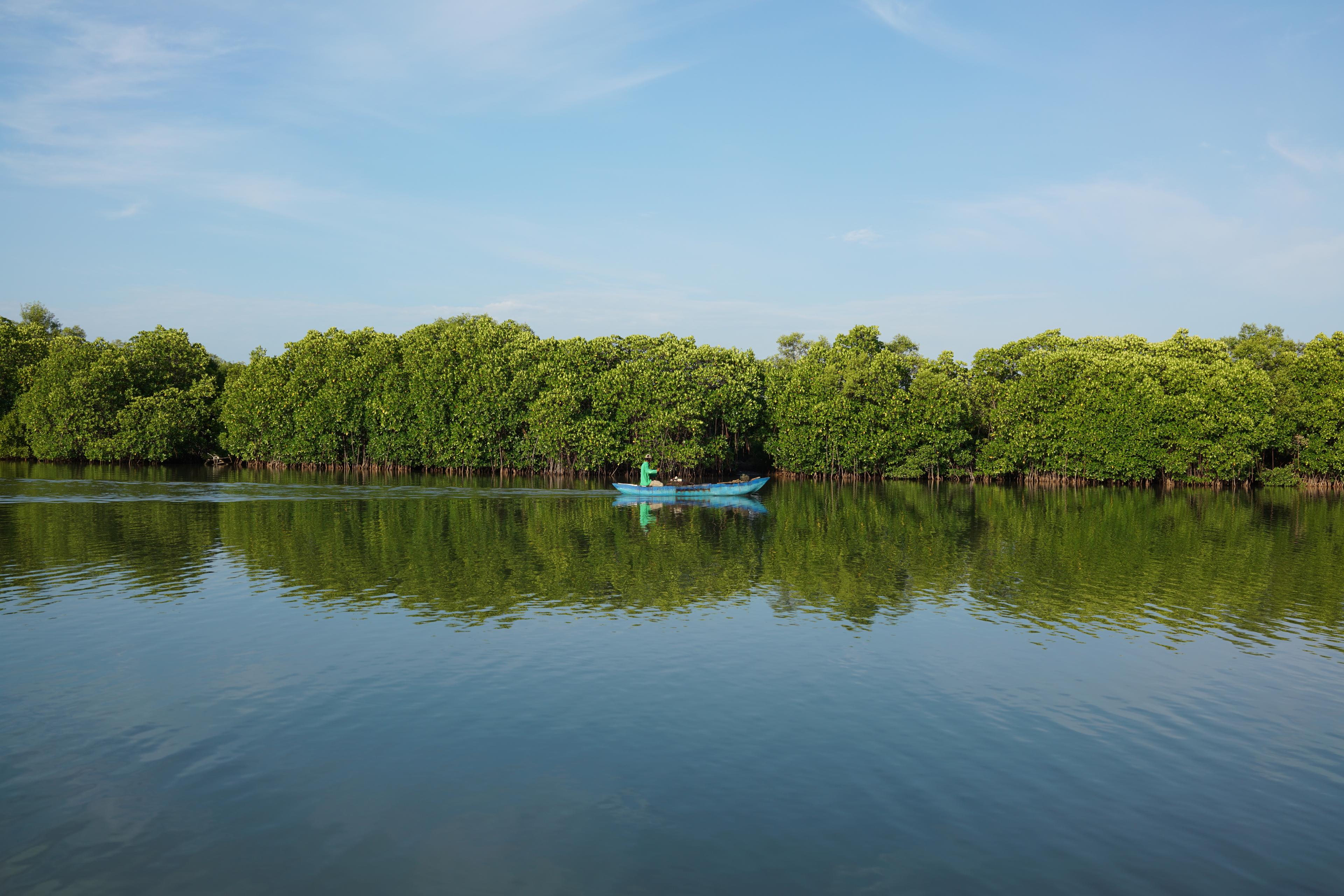 Image Sri_Lanka-Trincomalee-Julian_Bassermann-2016-Mangroves_Boat.JPG