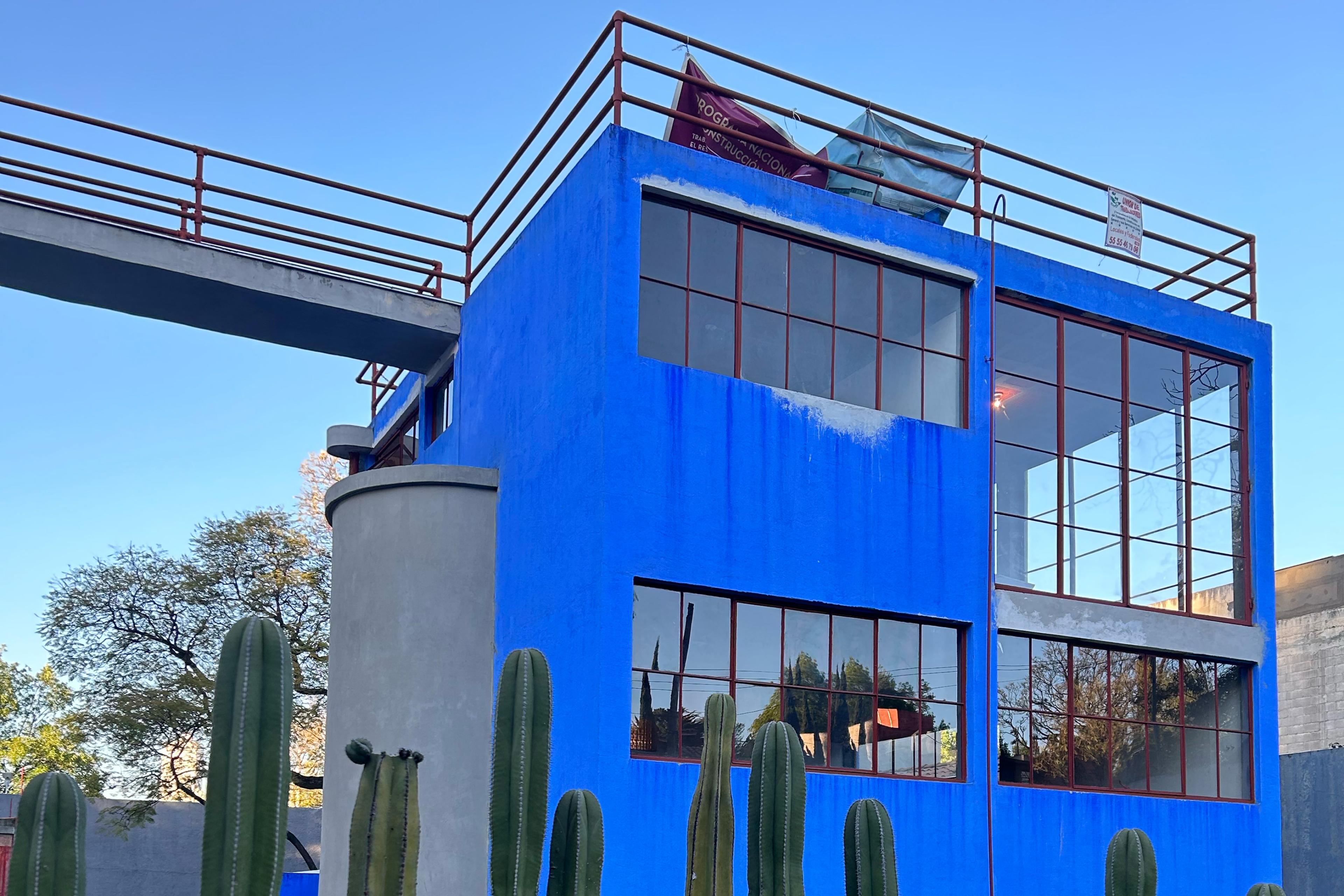 blue building with cacti in front of it