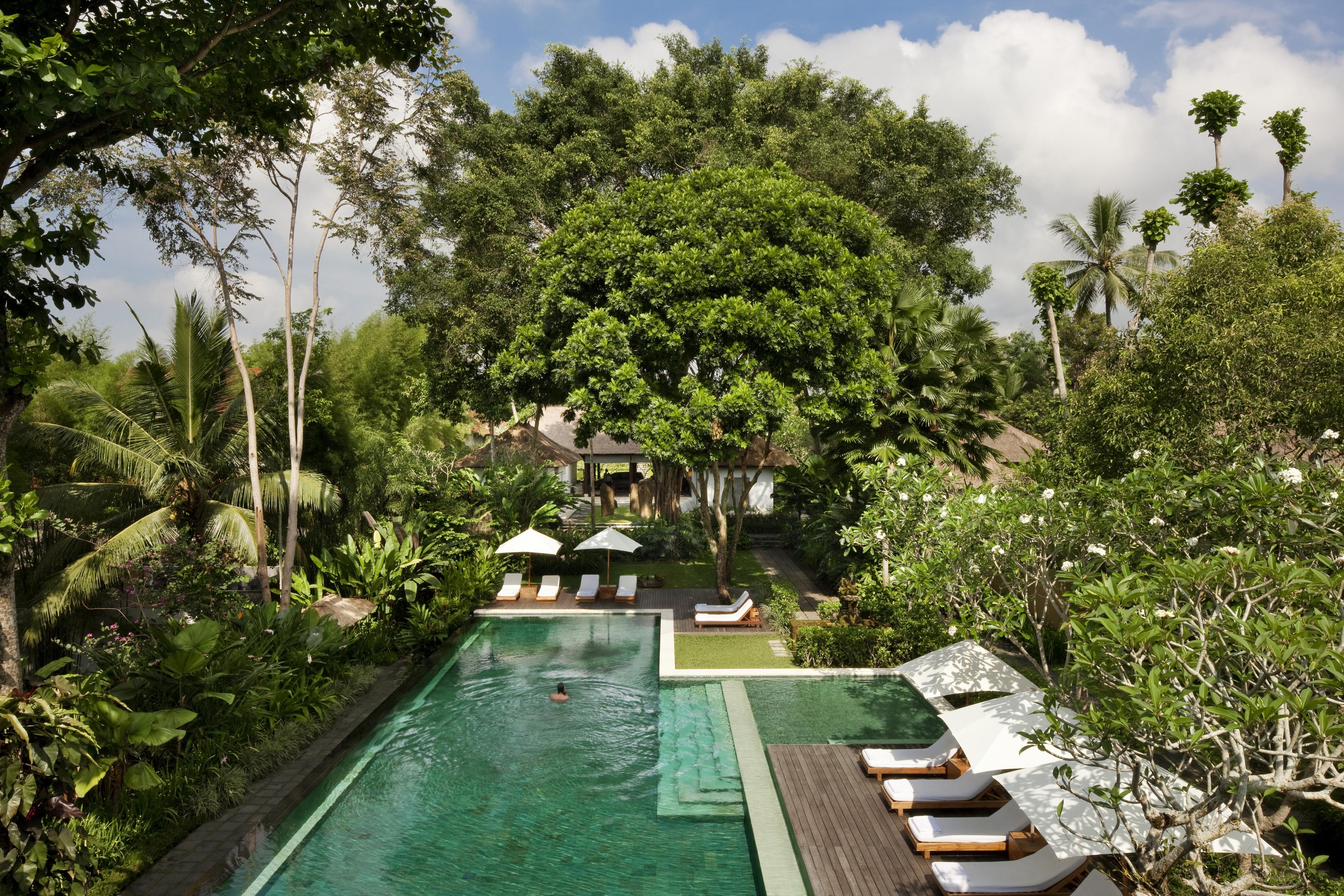 pool surrounded by chaise lounges and jungle