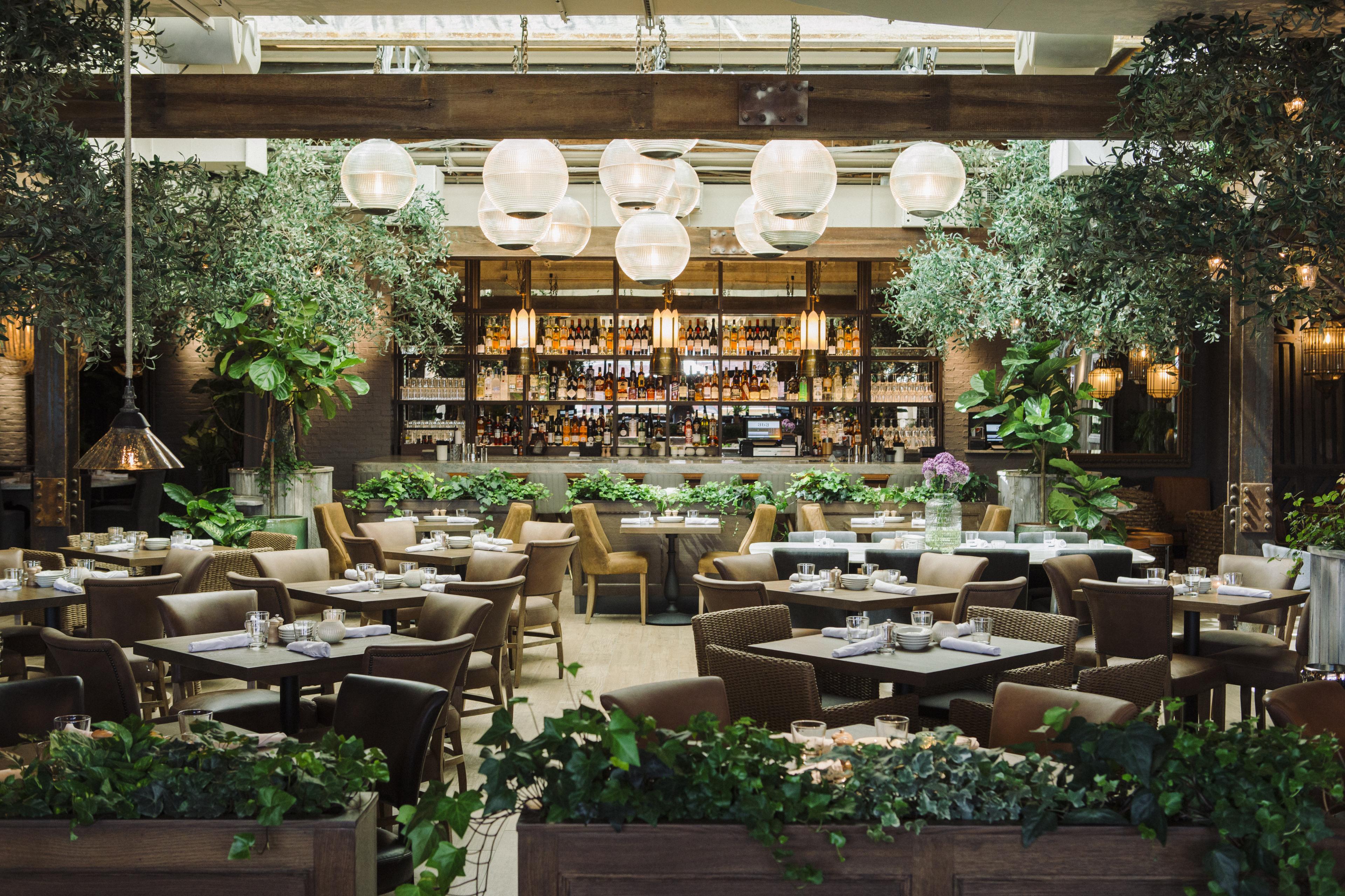 interior shot of restaurant with plants and long bar
