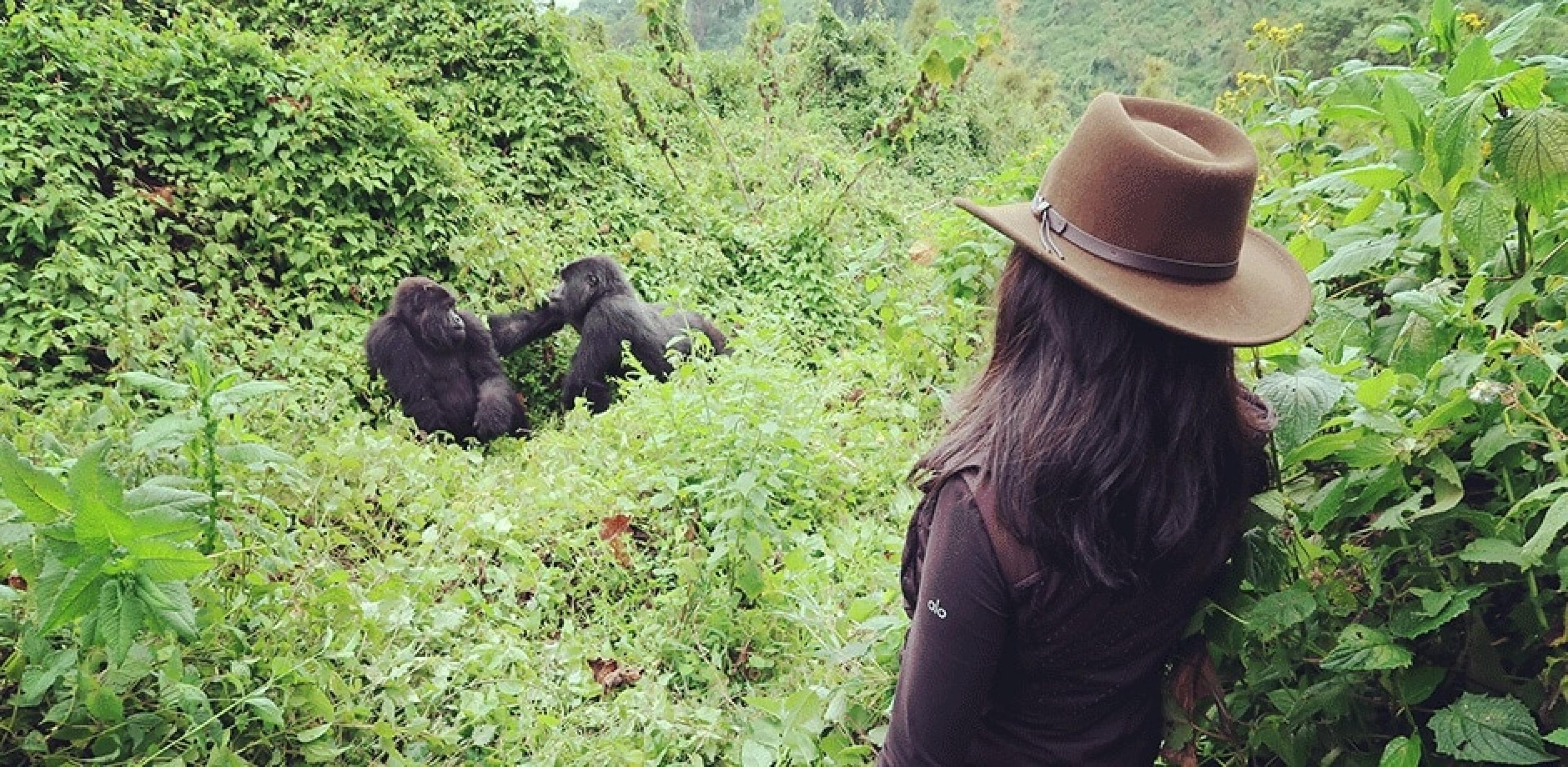 Gorilla trekking in Volcanoes National Park