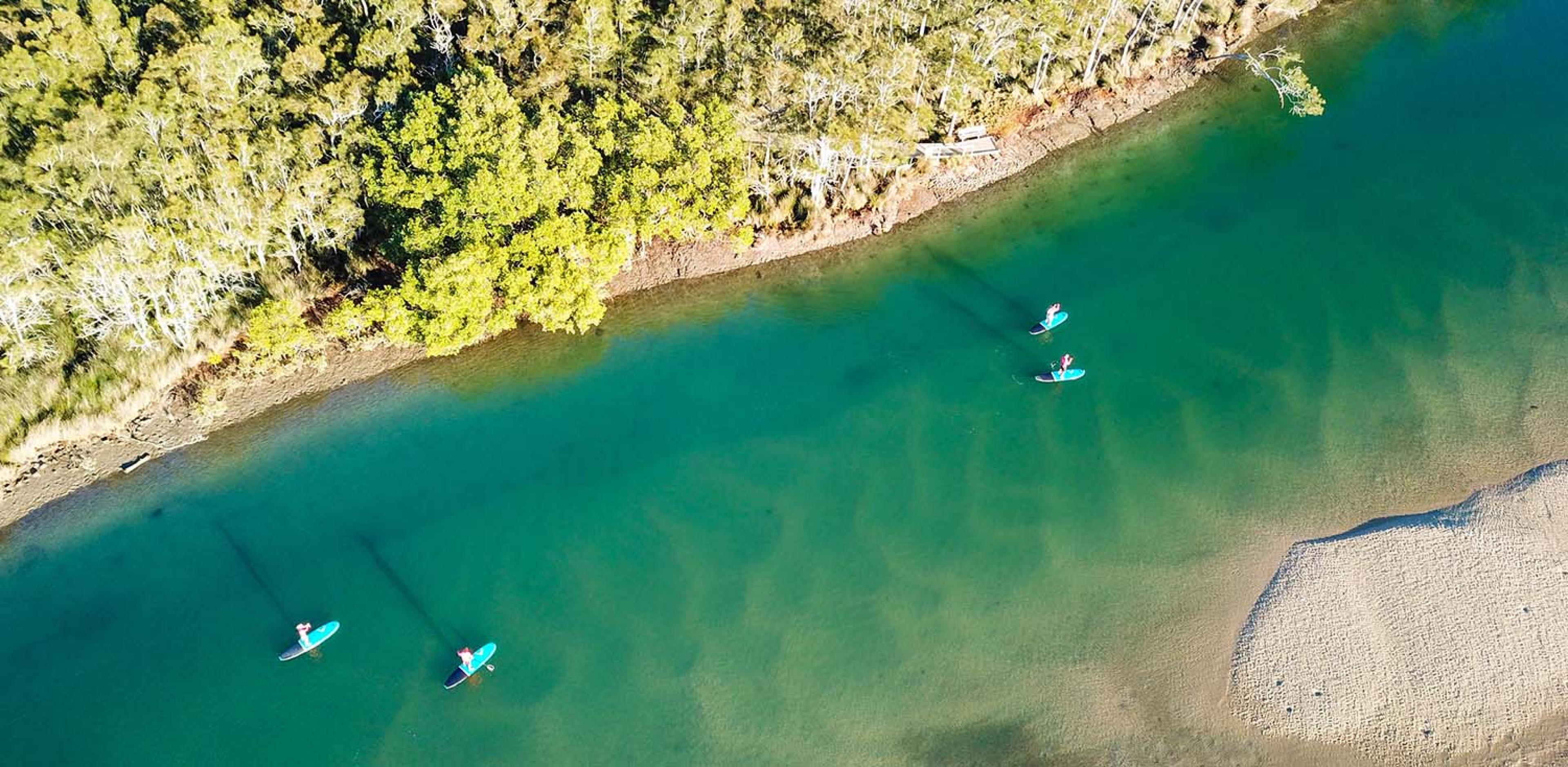 people on paddle boards from above
