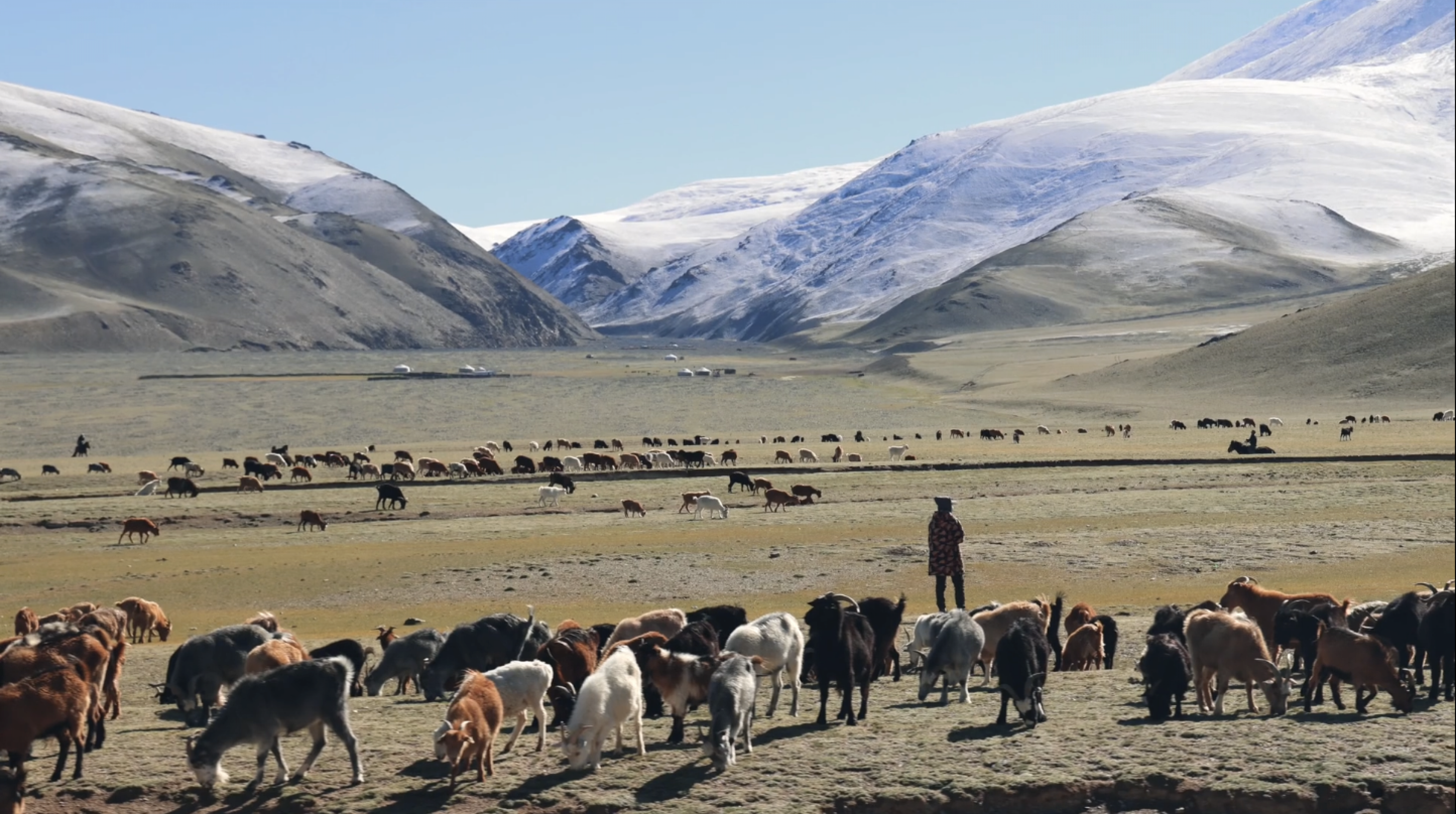 Image destination-mongolia.png