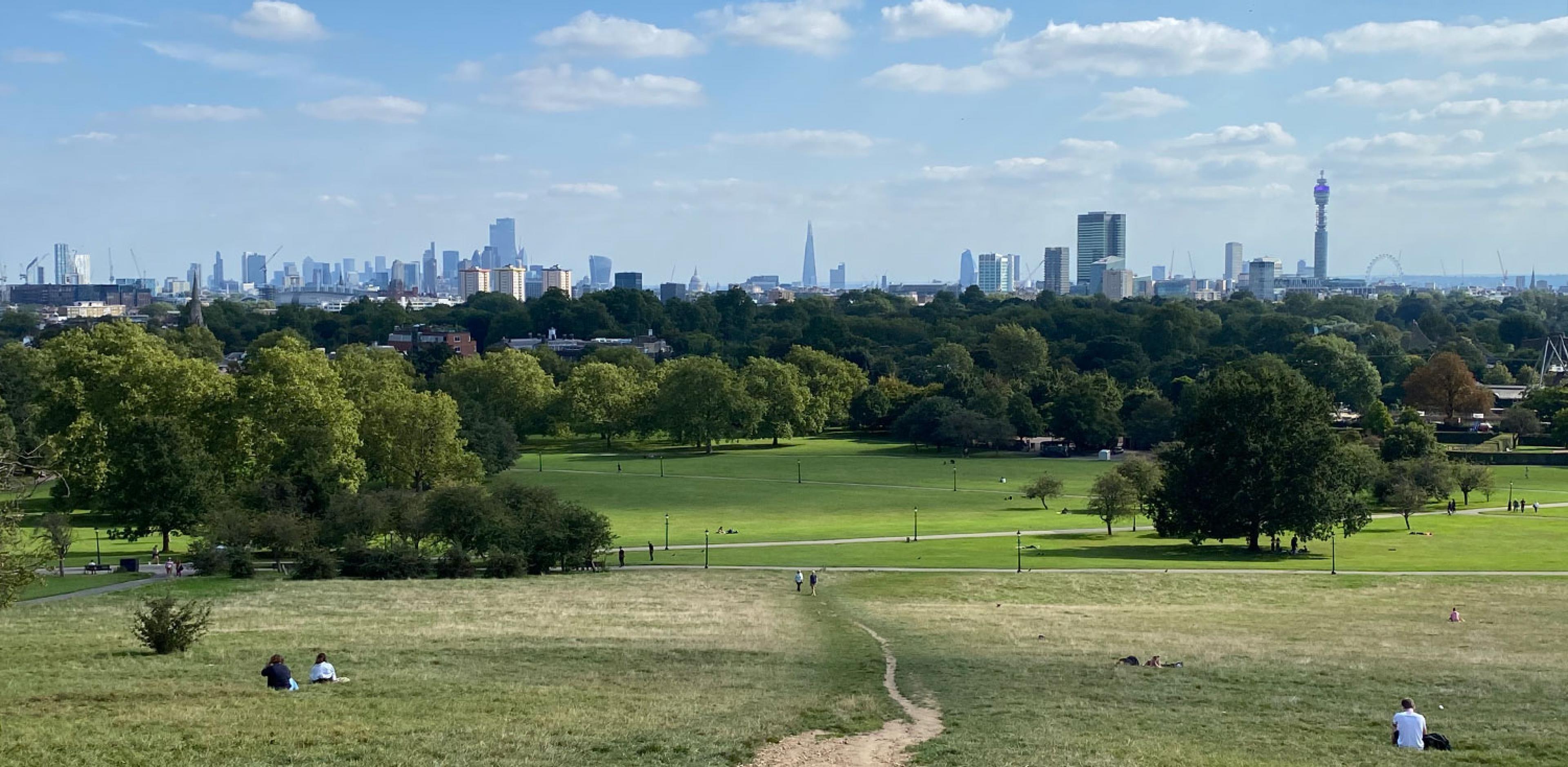 view over london skyline from park hill