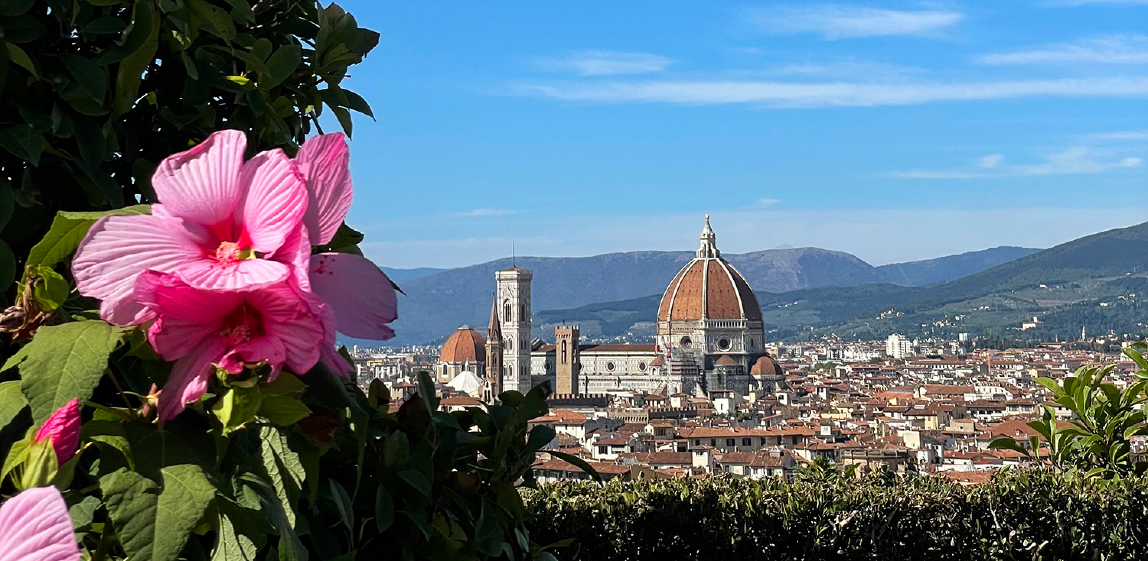the duomo of florence with flowers in the foreground