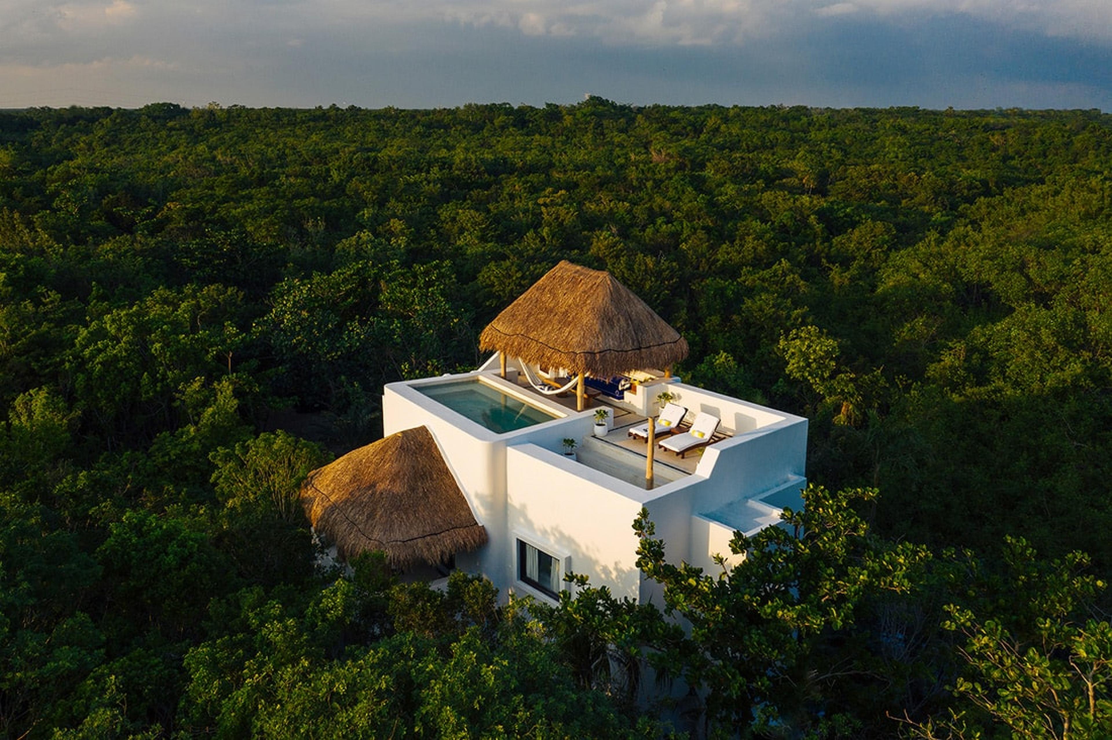 jungle with white stucco building topped with rooftop pool and palapa peeking through the trees