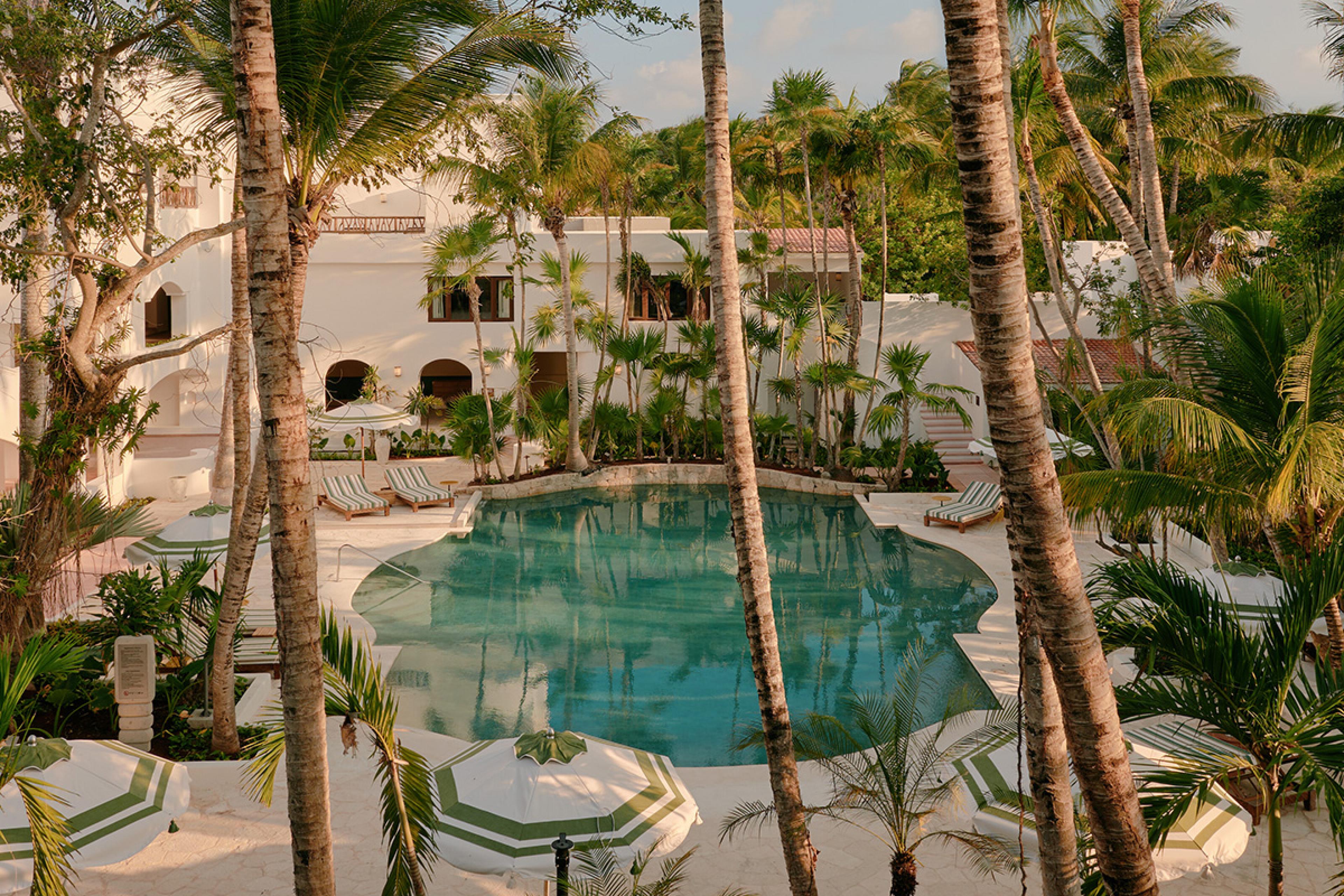 pool surrounded by palm trees and a white building backdrop
