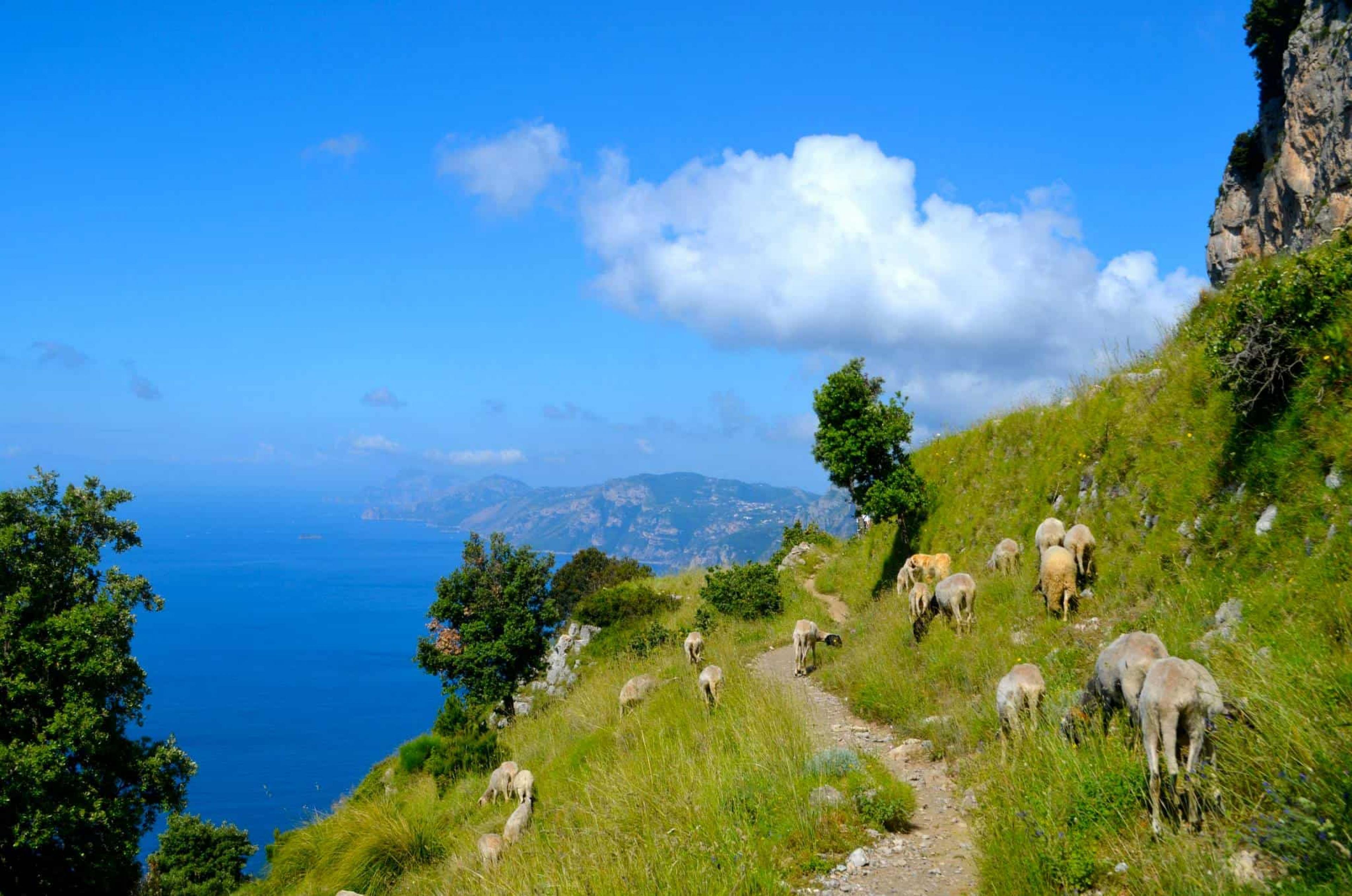 Aerial View-Go Hiking ,Amalfi Coast, Italy
