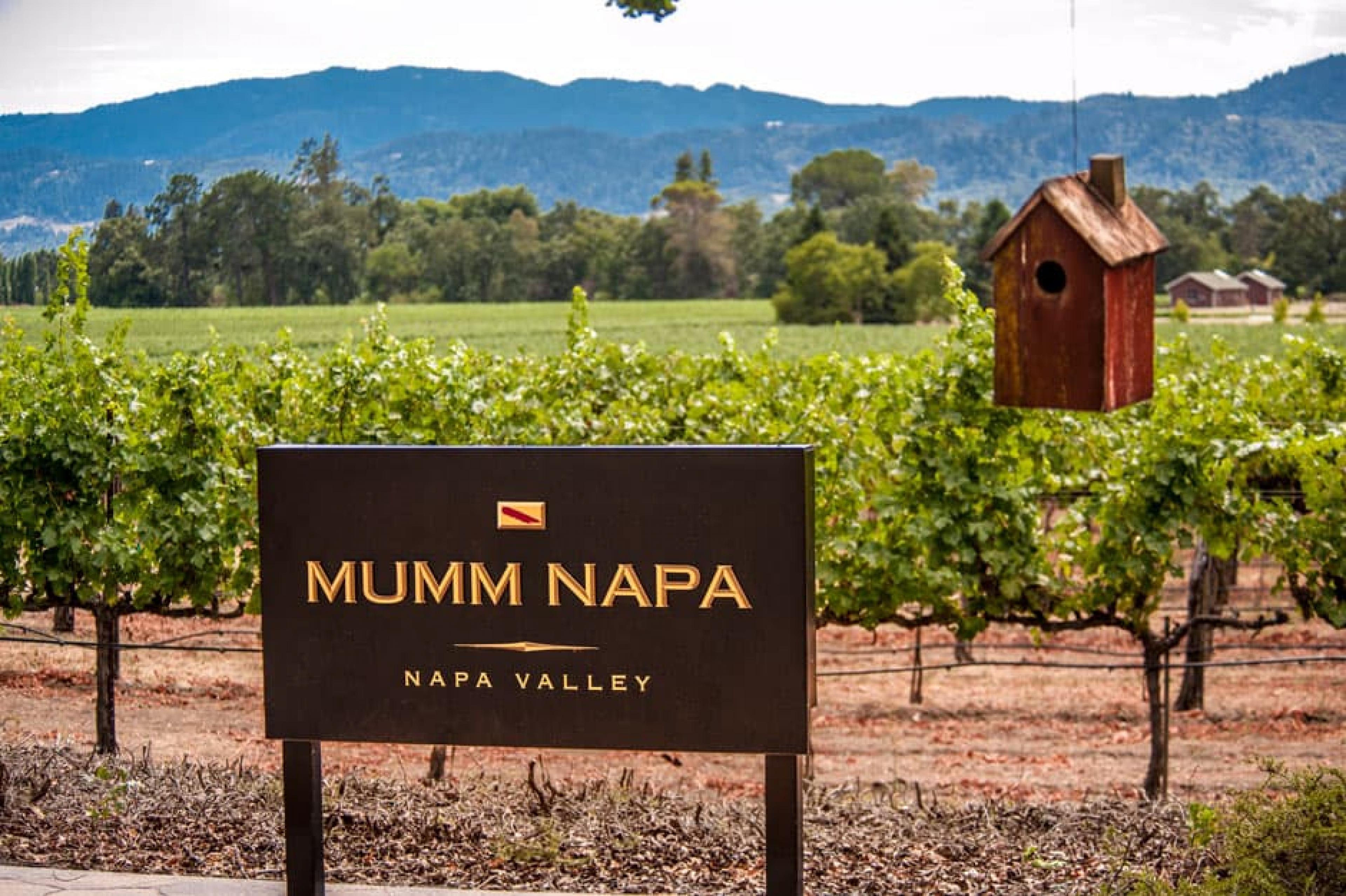 Exterior View-Mumm Napa ,Napa Valley, California