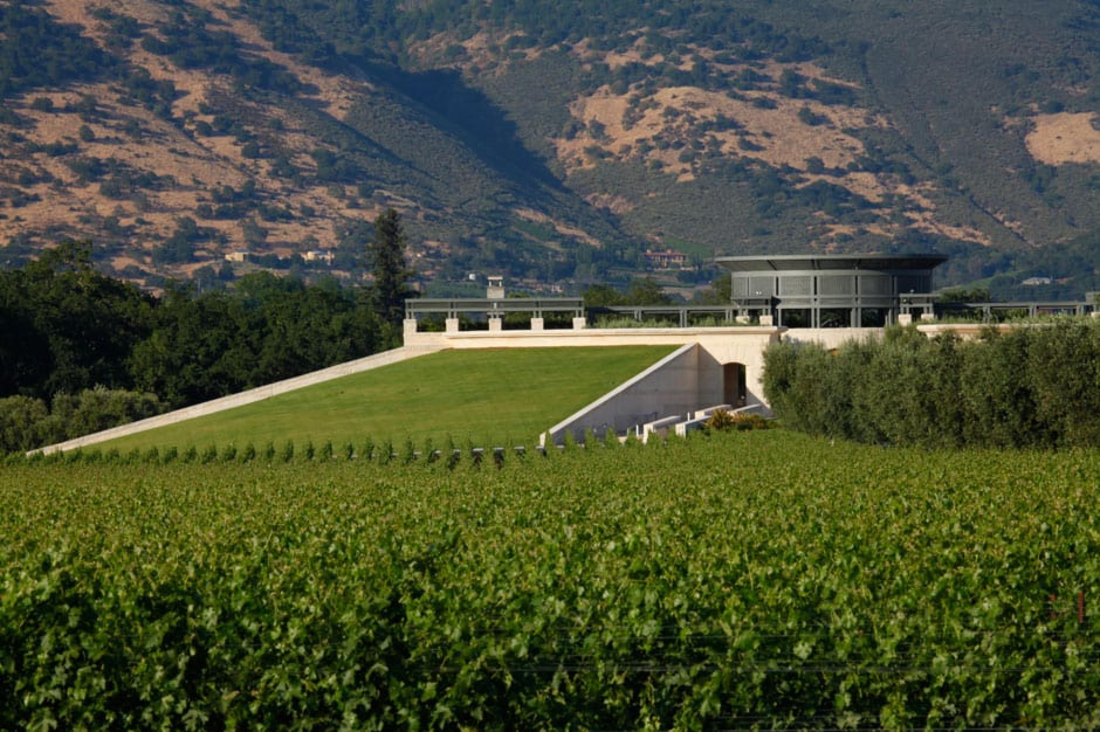 Exterior View-Opus One Winery ,Napa Valley, California