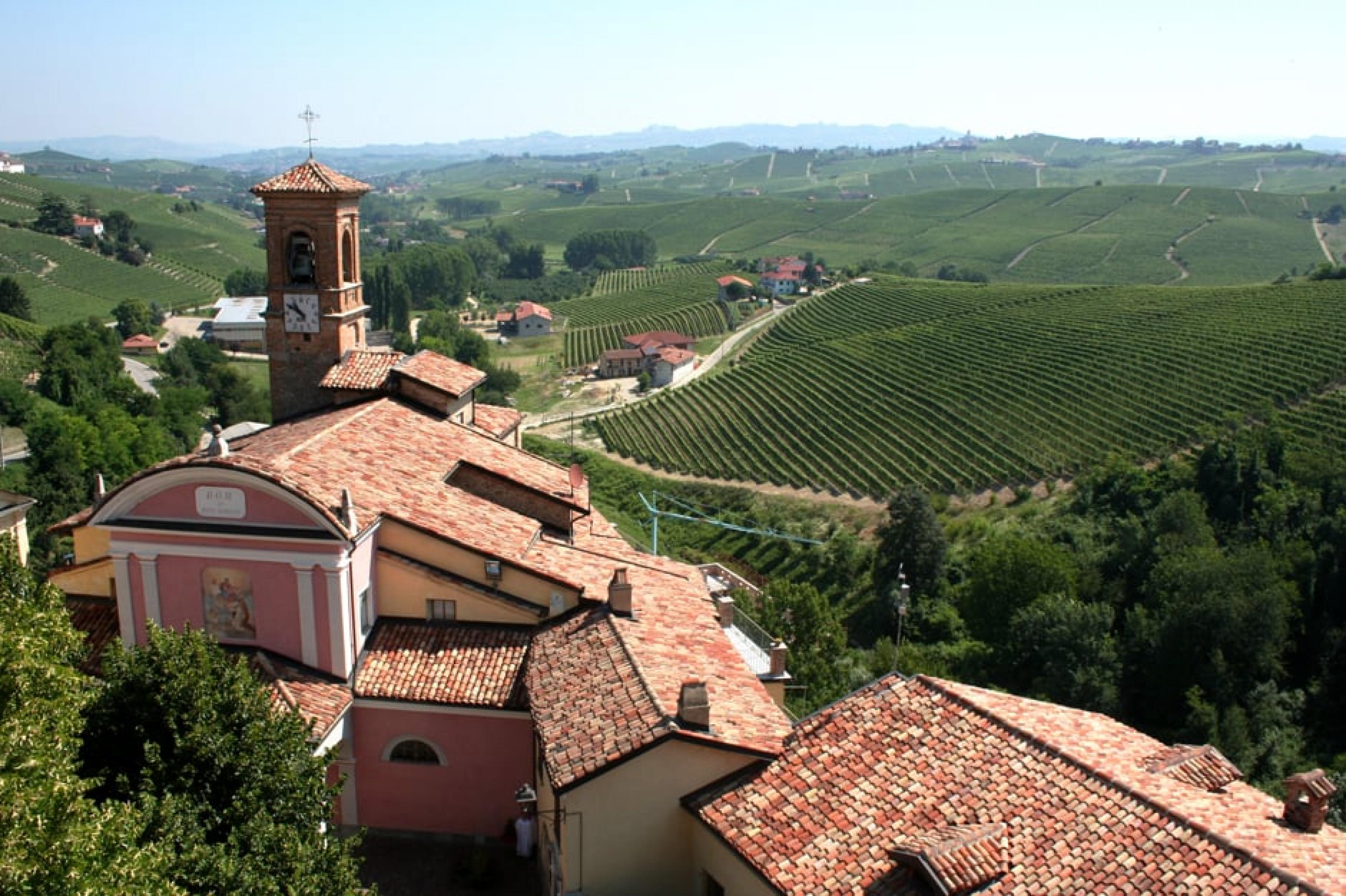 Aerial View-Indagare Tours: Barolo Wine Tour , Milan, Italy-Courtesy of Megan Mallen