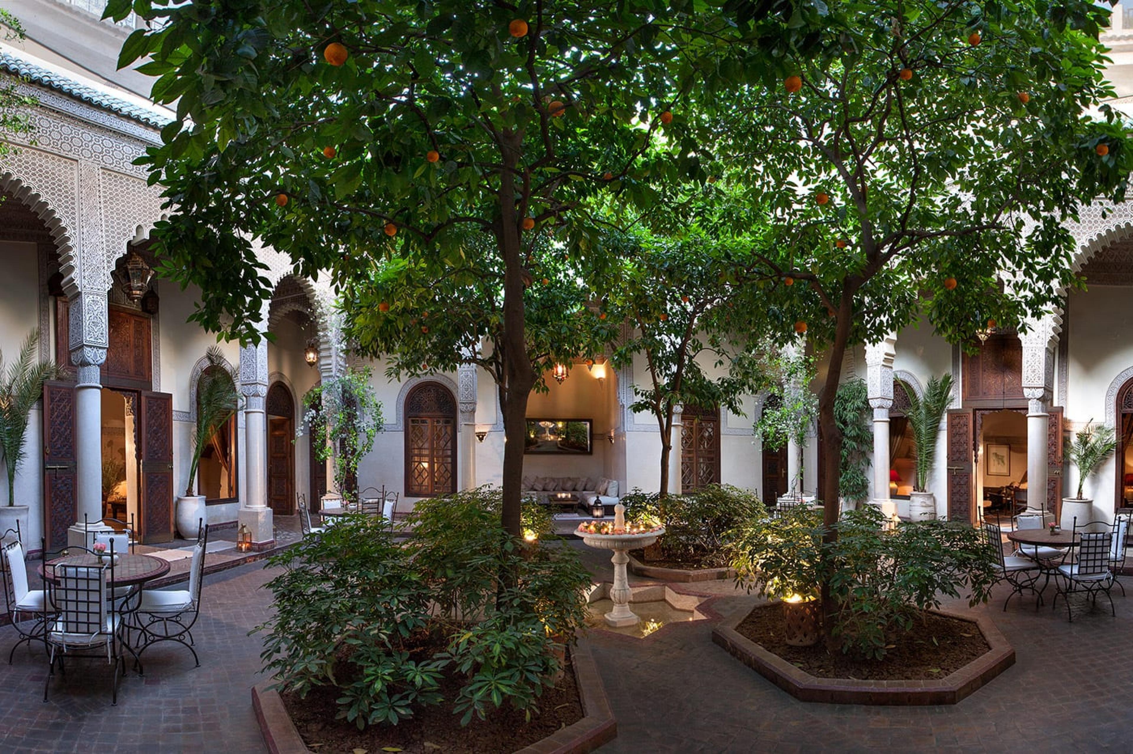 hotel courtyard in marrakech with orange trees 