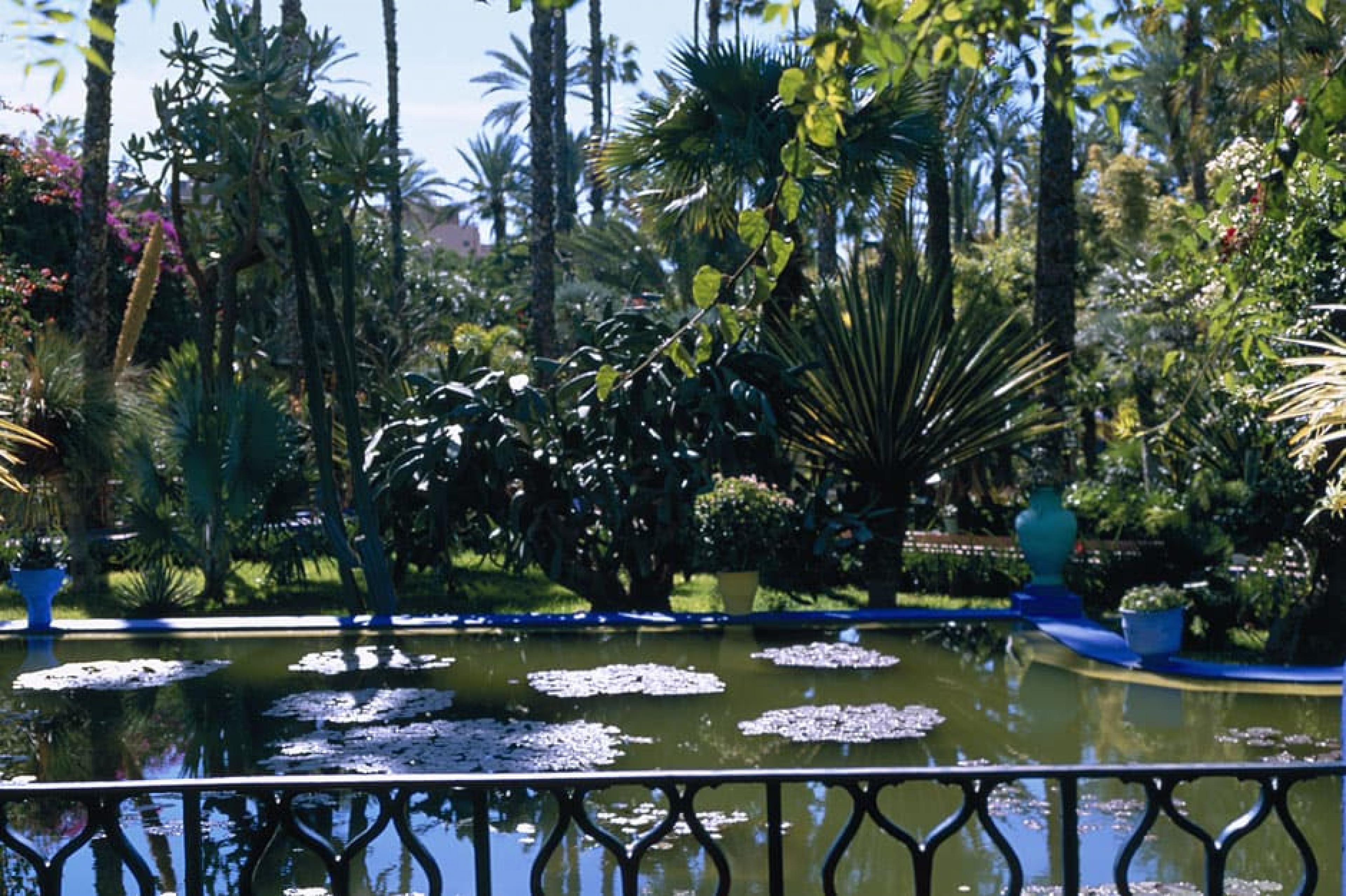 Enterior View-Jardin Majorelle , Marrakech, Morocco