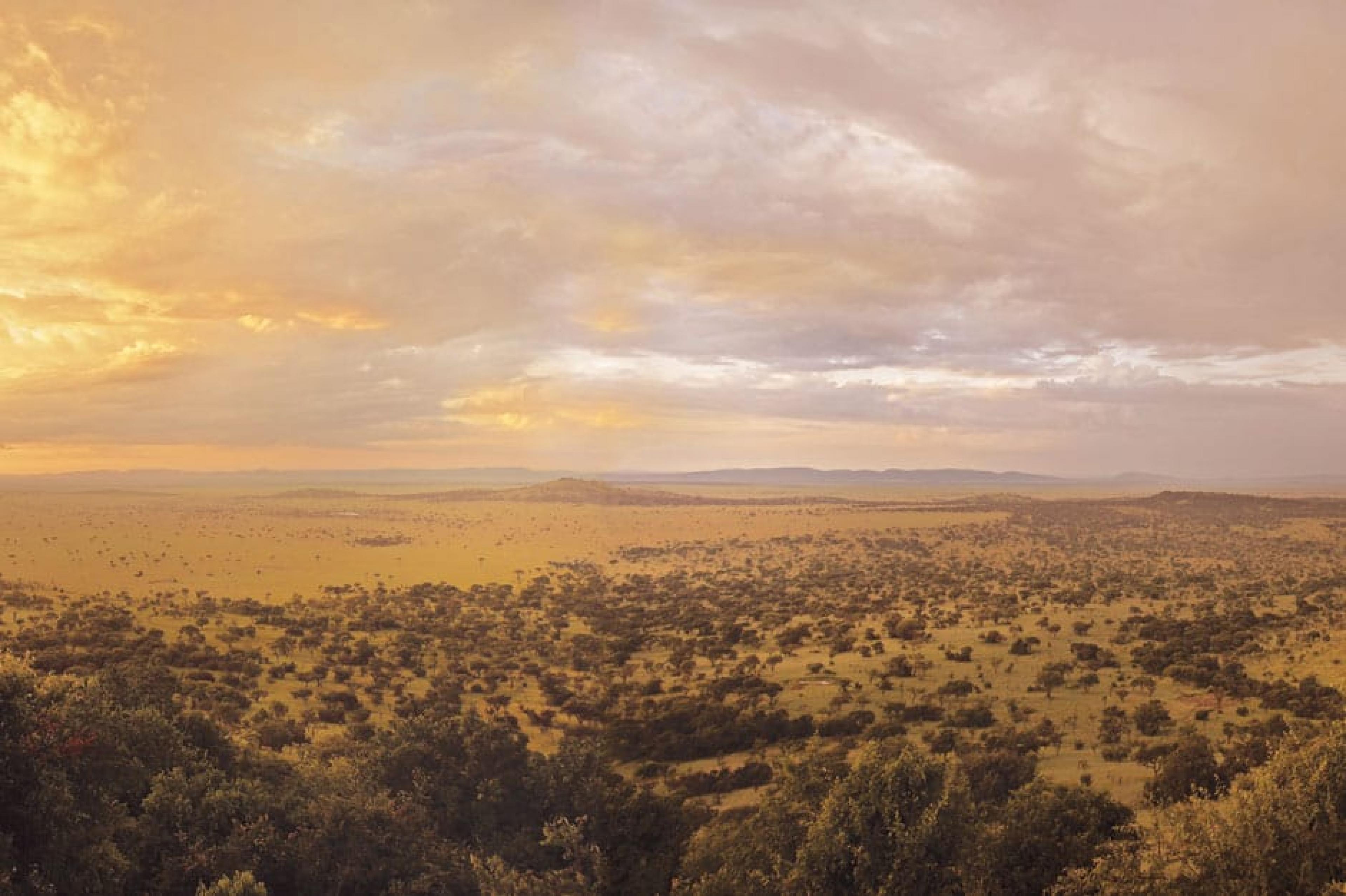 Aerial View-The Serengeti , Tanzania